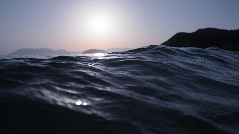 How To Deposit Money Via Https 99Exch Red M Link?