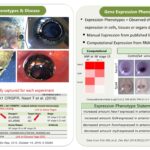 Reddy Anna: A Comprehensive Look at His Leadership, Vision, and Impact