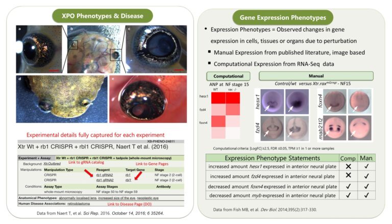 Reddy Anna: A Comprehensive Look at His Leadership, Vision, and Impact