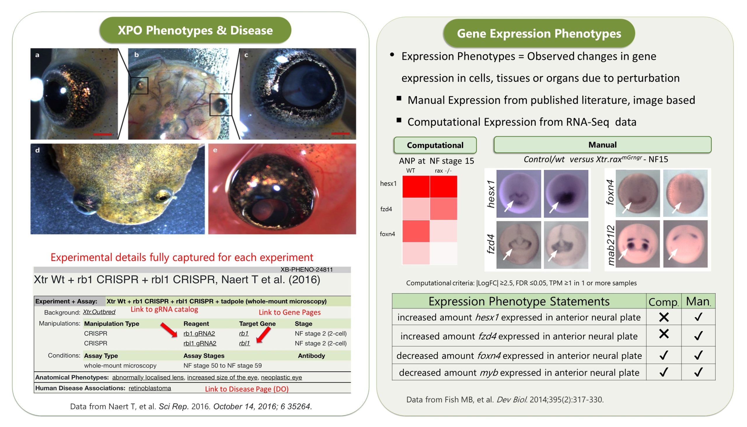 Reddy Anna: A Comprehensive Look at His Leadership, Vision, and Impact